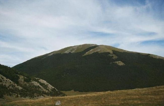 Agriturismo Fiore - Photo 25