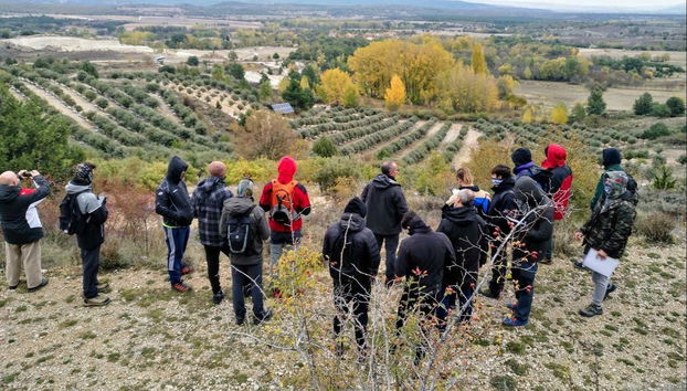 Explorando los campos de Soria