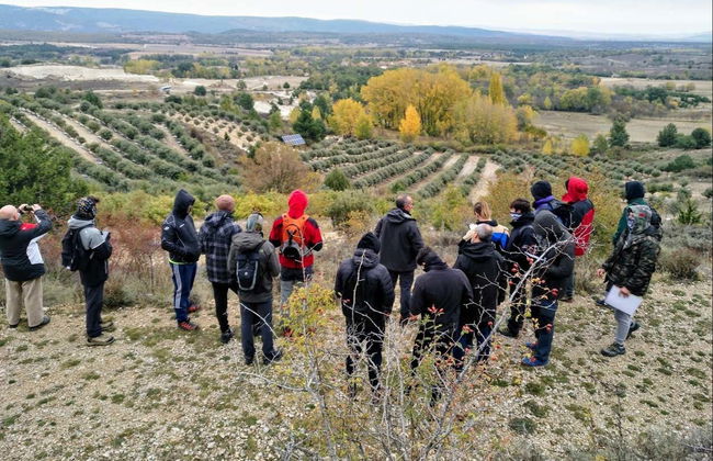 Tour de la trufa por Ocenilla - Foto 4