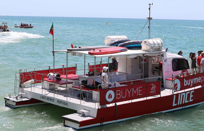 Paseo en catamarán por las cuevas de Benagil - Foto 1