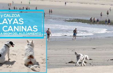 Casajardín ROKEKRIS - Foto 42