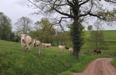 Gîte de Nath - classé 4 étoiles - Foto 25