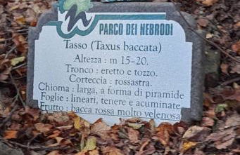 Calacta casa mia - Foto 41