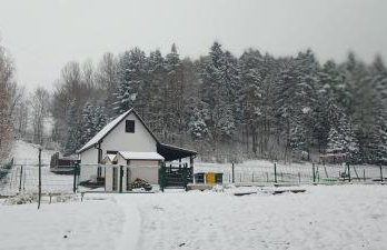 Wiśniowe Zacisze - Agroturystyka - Photo 56