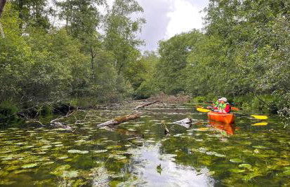 Raj na Kaszubach - Pałubicka Bór - Domy na Wynajem - Foto 60