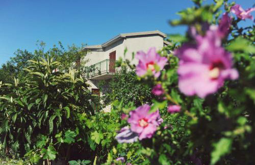 Apartment Antonio - Photo 16