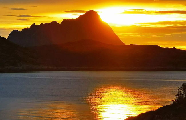 Holiday Home in Rebbenes - Foto 21