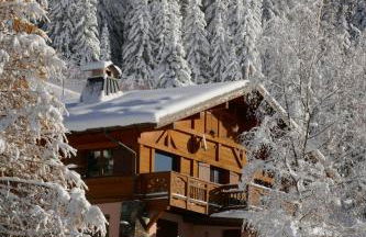Les Saisies côté Bisanne appartement dans chalet LE Népal - Foto 1