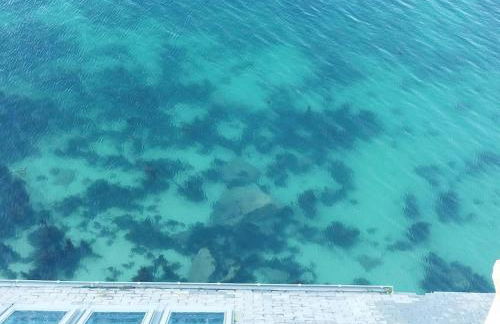 ILE WRACH - Duplex de luxe avec magnifique vue mer - Foto 8