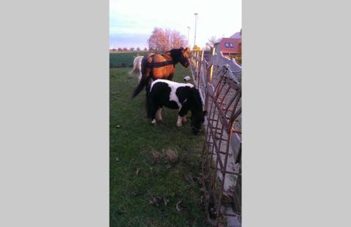 Sinnes Wandel Hof Serka - Foto 19