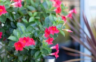 Thames View Apartment, Imperial Wharf - Foto 6