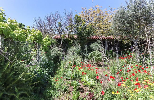 Guincho Typical House II by Homing - Photo 27