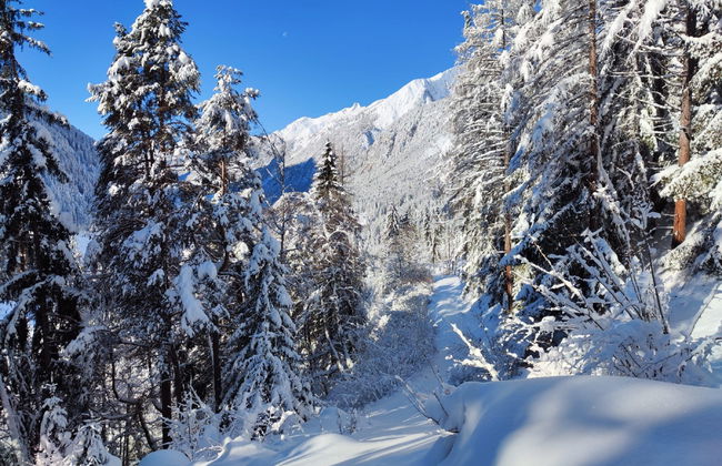 Lieblingsplatz - Foto 36