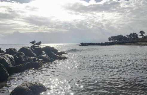 Strandblick 22A - Foto 28