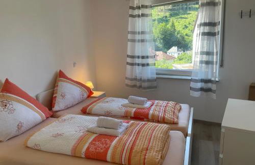 Holunder nah am Waldsee 2 - Foto 15