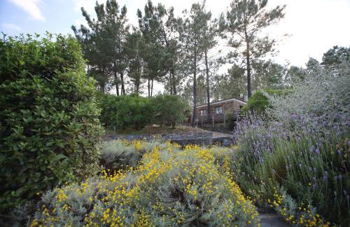 Apartamentos Rurais - Casas do Lagar - Foto 11