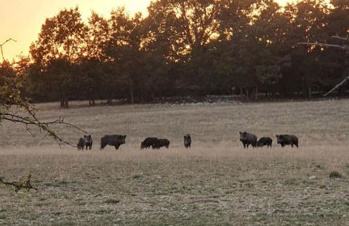 Le Mas des Oliviers - Foto 23