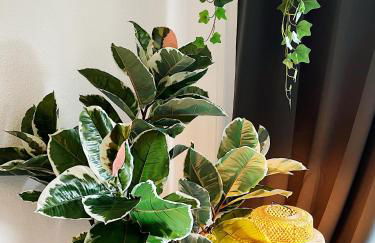 StayTime - Almond Room - Foto 9