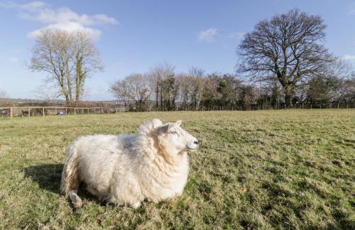 Deer Lodge - Photo 29