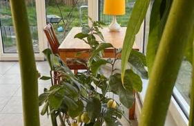 Ferienhaus mit Seeblick - Photo 15