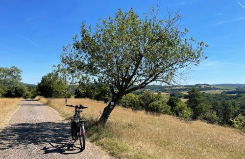 Ferienhaus NettersHäuschen in Nettersheim, Eifel - Photo 30