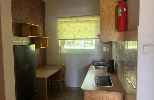 Domek letniskowy nad jeziorem - Foto 27