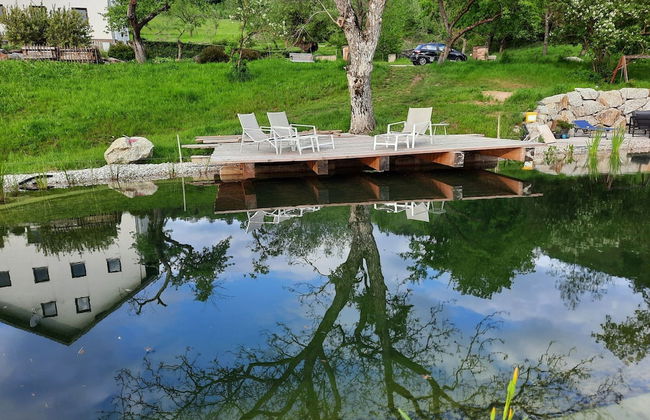 Loft-like Apartment With Swimming Pond - Photo 31