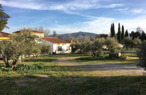 CampoParaíso Jaén-Casa Rural - Foto 36