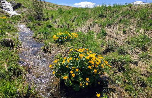Chalet la Cabane d'Ernestine, petit-déjeuner inclus - Foto 63