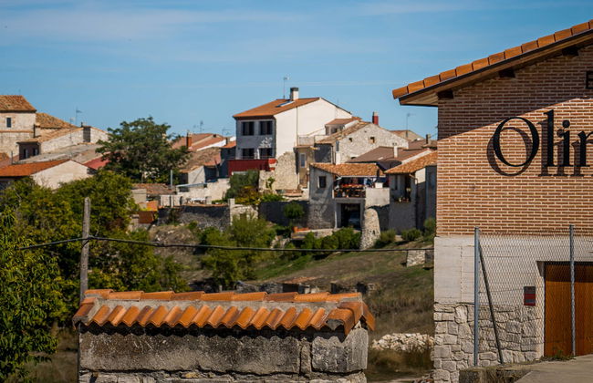 Visita alle cantine Olimarum - Foto 1