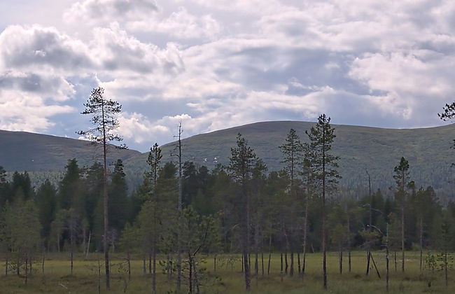 Tunturitupa kuolpuna - Foto 3