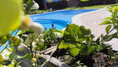 I Colori del Sole - Foto 4