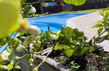 I Colori del Sole - Foto 4