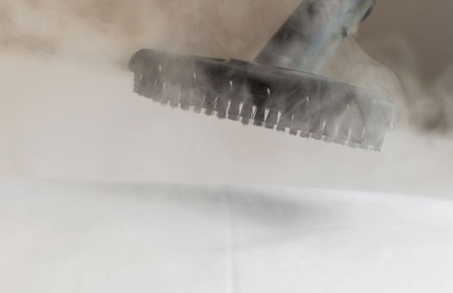 White Bluebell - Foto 8