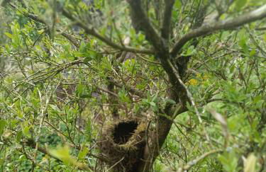 Landhaus Sonnenwinkel - Foto 34