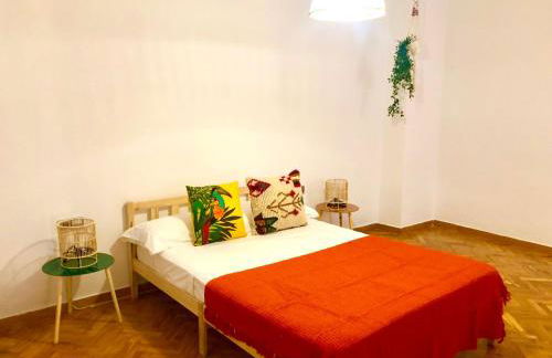 Tucan tropical - Foto 11