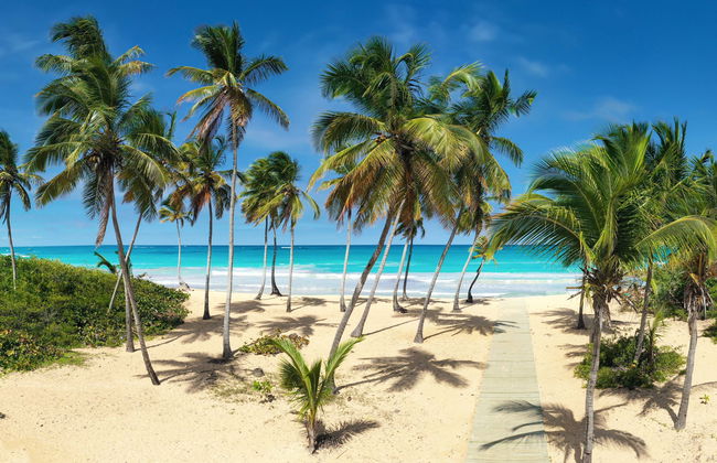 Punta Cana Combo: Bavaro Beach Buggy & Boat Tour - Photo 1