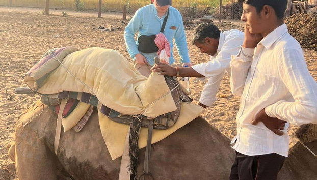 Night in the Thar Desert - Foto 4