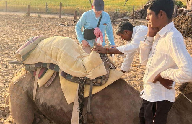 Nuit dans le désert de Thar - Photo 4