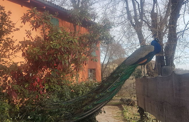 Agriturismo Piccola Raieda - Photo 54