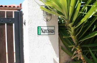 Narcissus - Foto 25