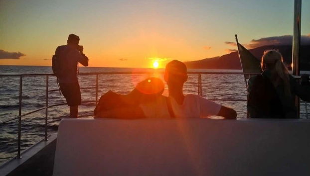 Avistamiento de cetáceos al atardecer - Foto 4