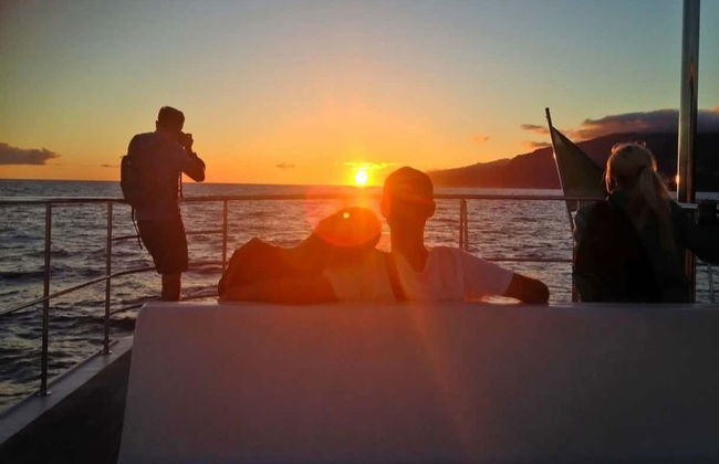 Whale Watching Sunset Cruise - Photo 3