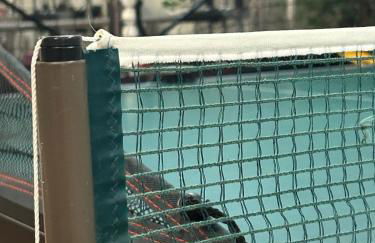 Chiemgauloft , 5 Sterne Ferienwohnung am Chiemsee - Foto 46