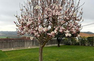 A Casa da Bela Vista - Foto 54