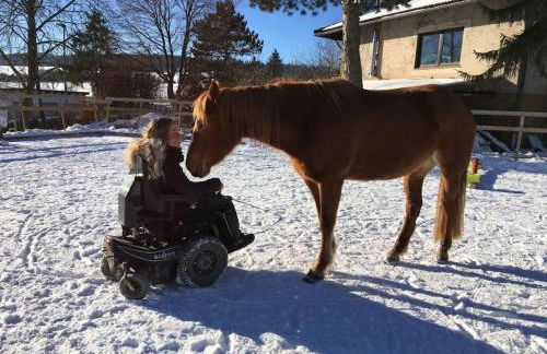Ferienwohnung mit Sauna Reiterhof barrierefrei - Foto 10
