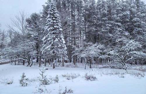 Peaceful 1-Acre Parksville Home Large Deck and Yard - Foto 35