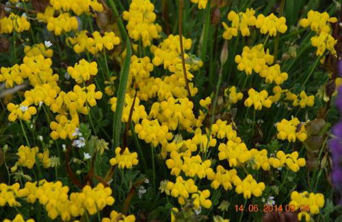 Casa Galoppa - Foto 30