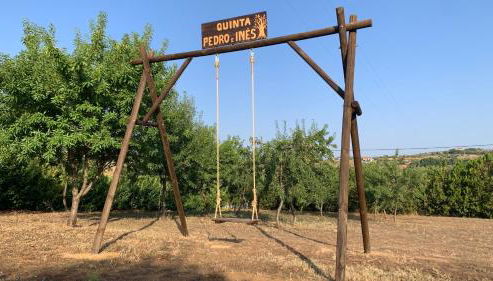 Quinta Pedro e Inês - Foto 3, Garden, Garden view