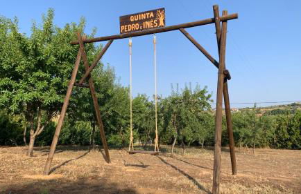 Quinta Pedro e Inês - Foto 3